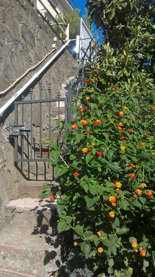 Affittacamere Fiorella Riomaggiore Zewnętrze zdjęcie